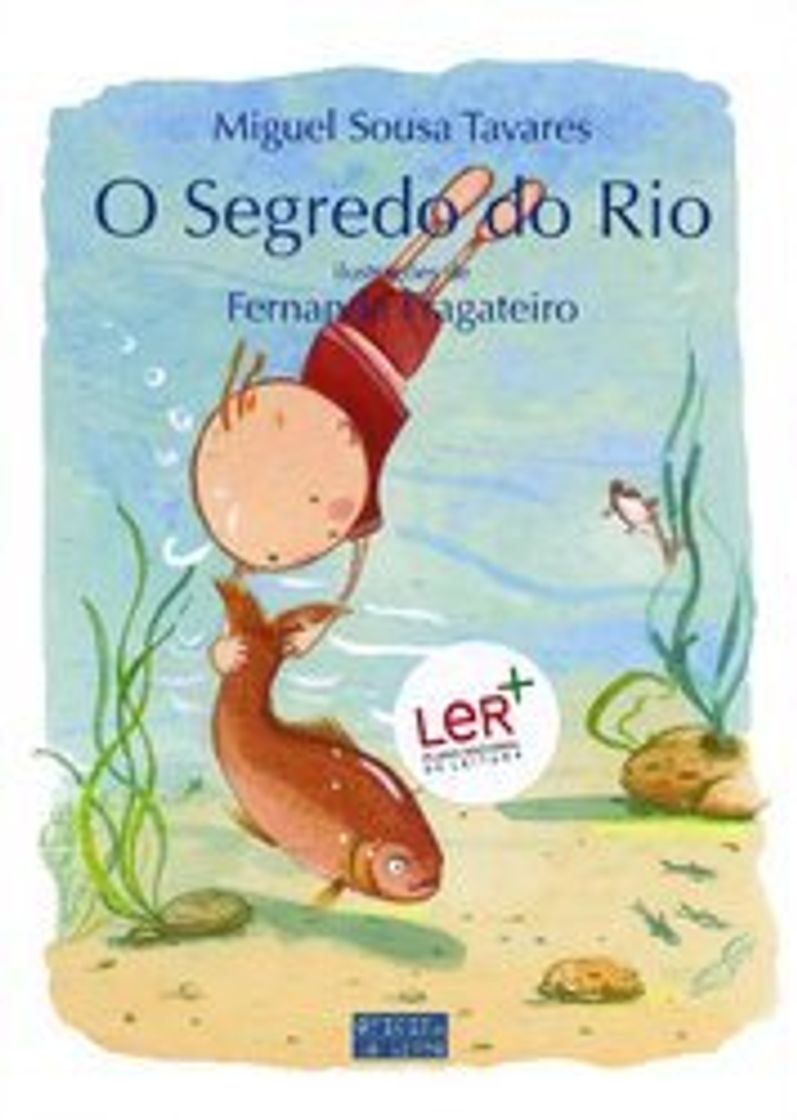 Libro O Segredo do Rio