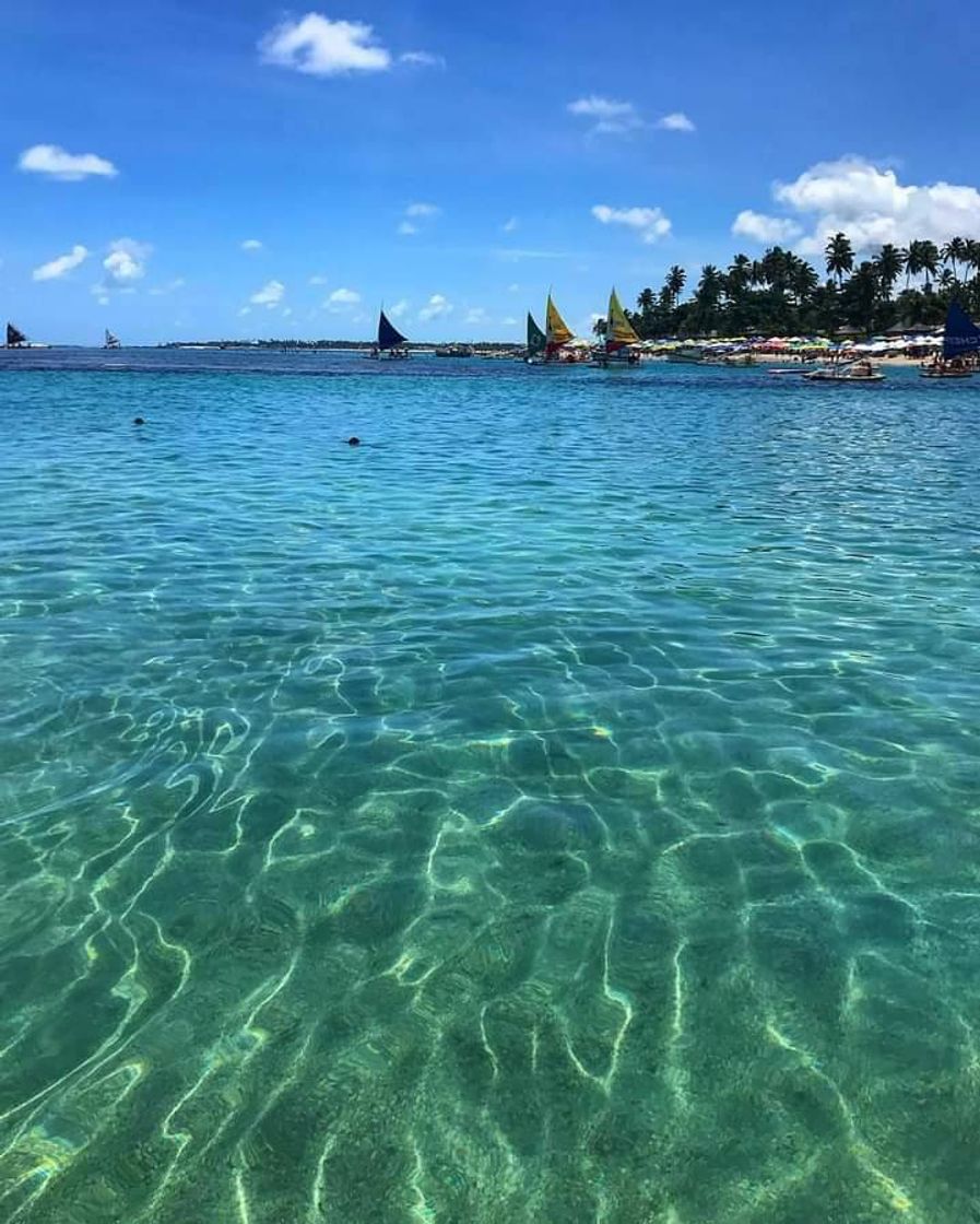 Lugar Porto de Galinhas