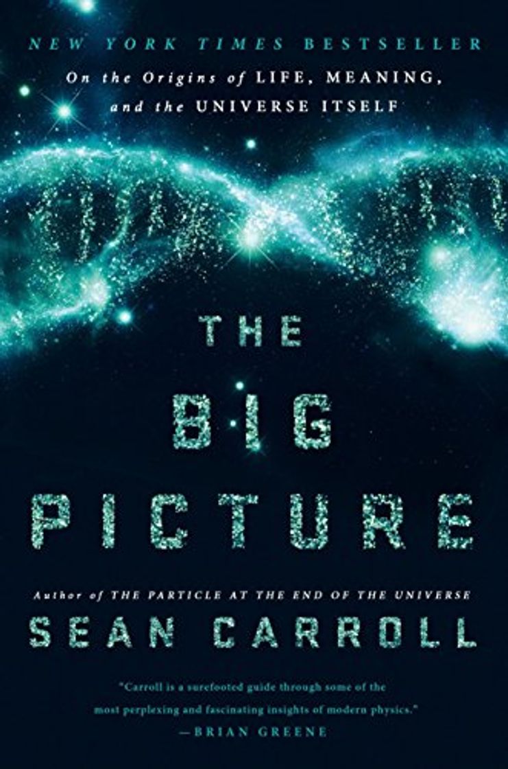 Book The Big Picture: On the Origins of Life, Meaning, and the Universe Itself