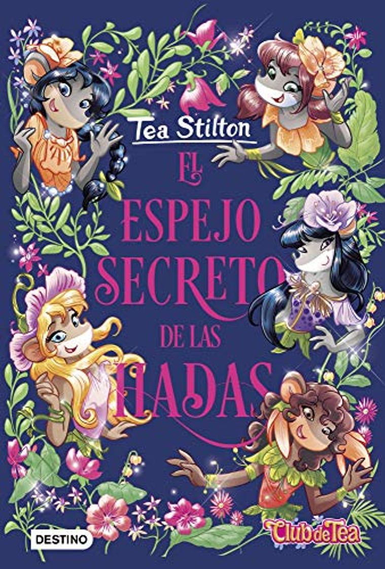 Libro El espejo secreto de las hadas