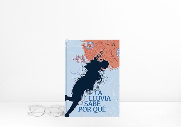 Livro La lluvia sabe por qué