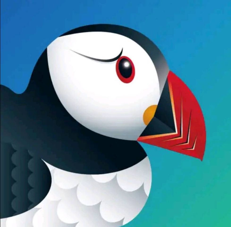 Puffin Web Browser - Apps on Google Play