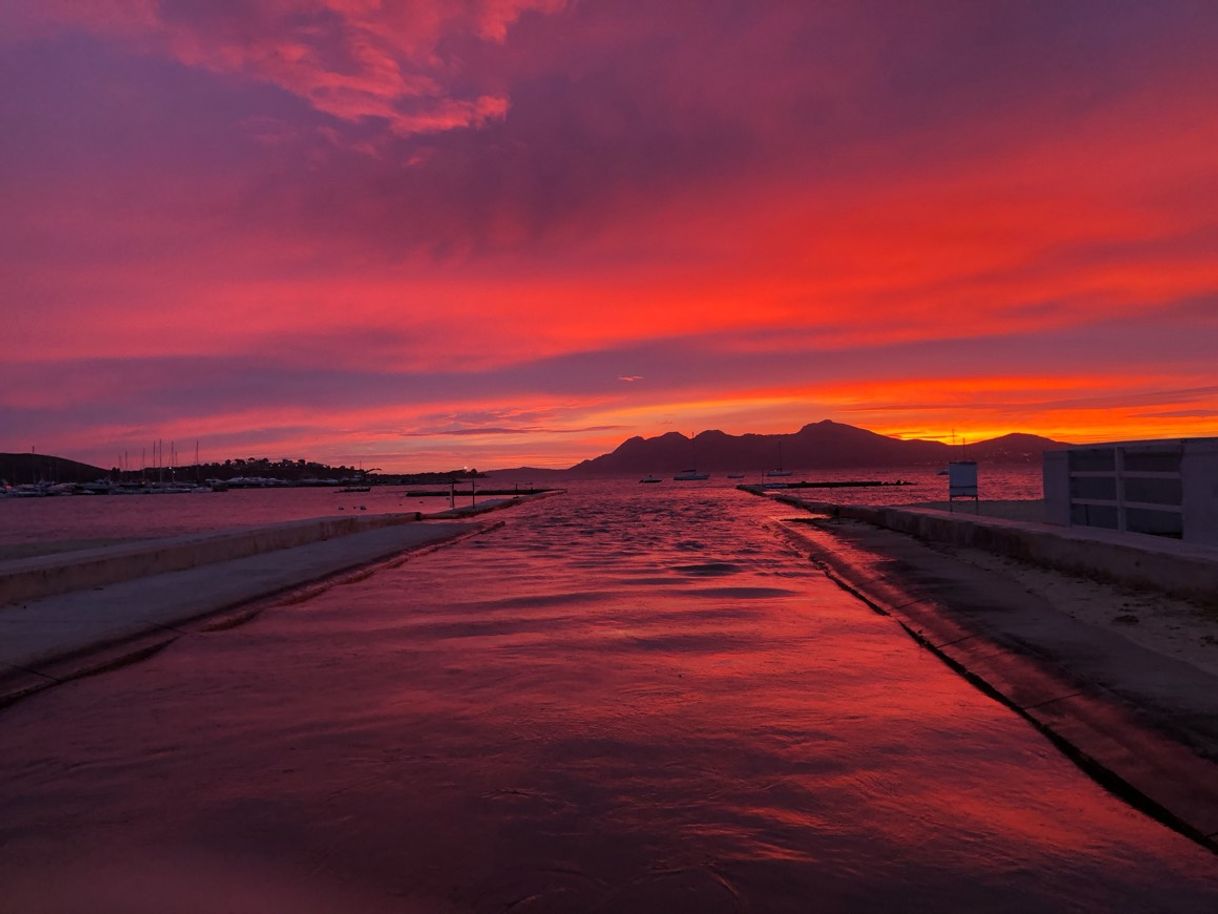 Lugar Puerto de Pollensa
