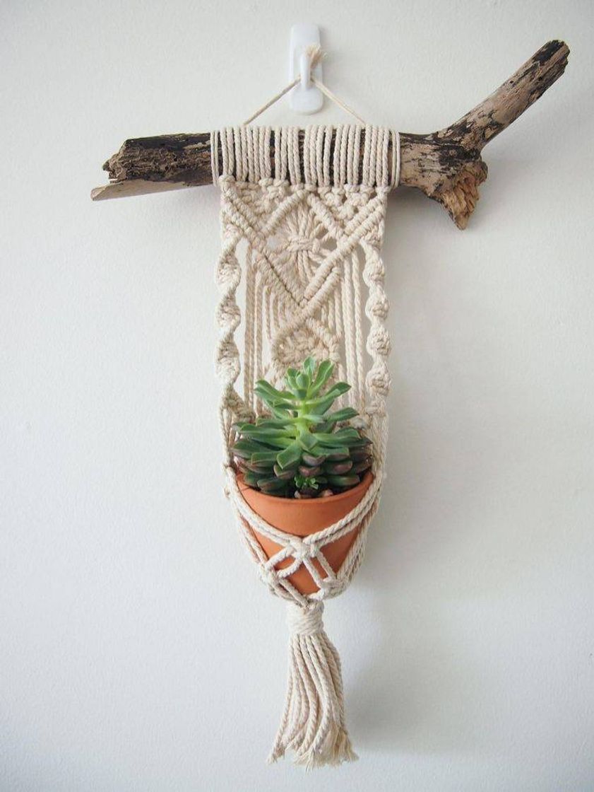 Fashion Lindo suporte para plantas 😍