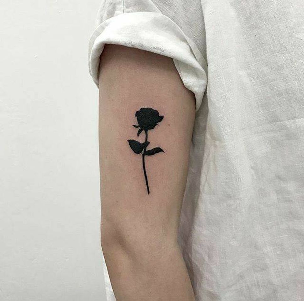 Social Rosa 