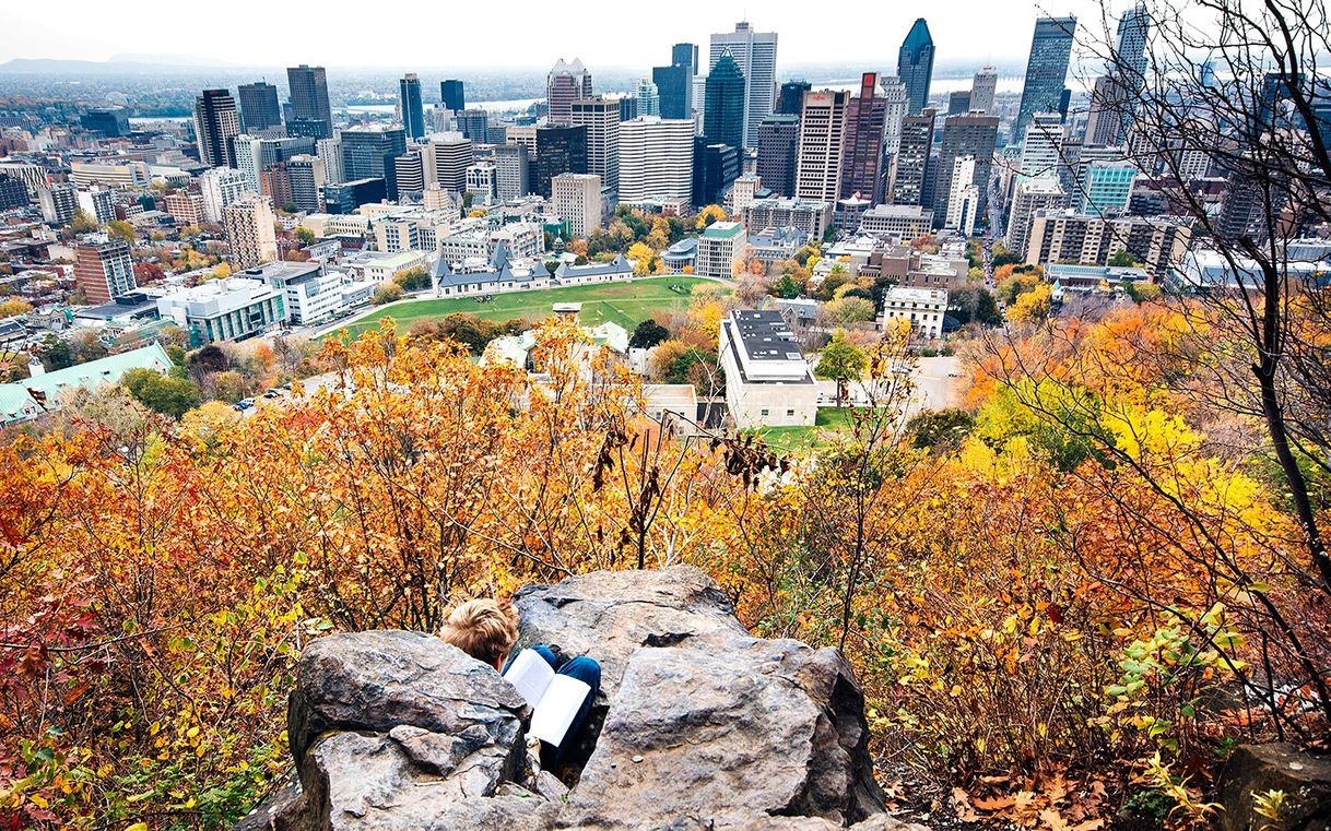 Place Mont-Royal