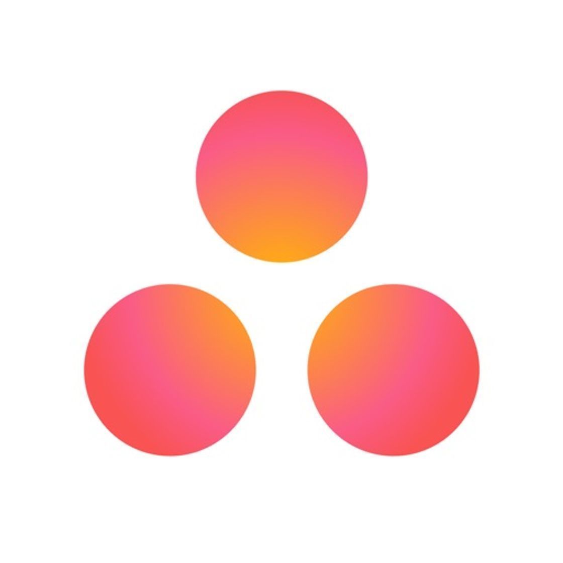 App Asana: organize tasks & work