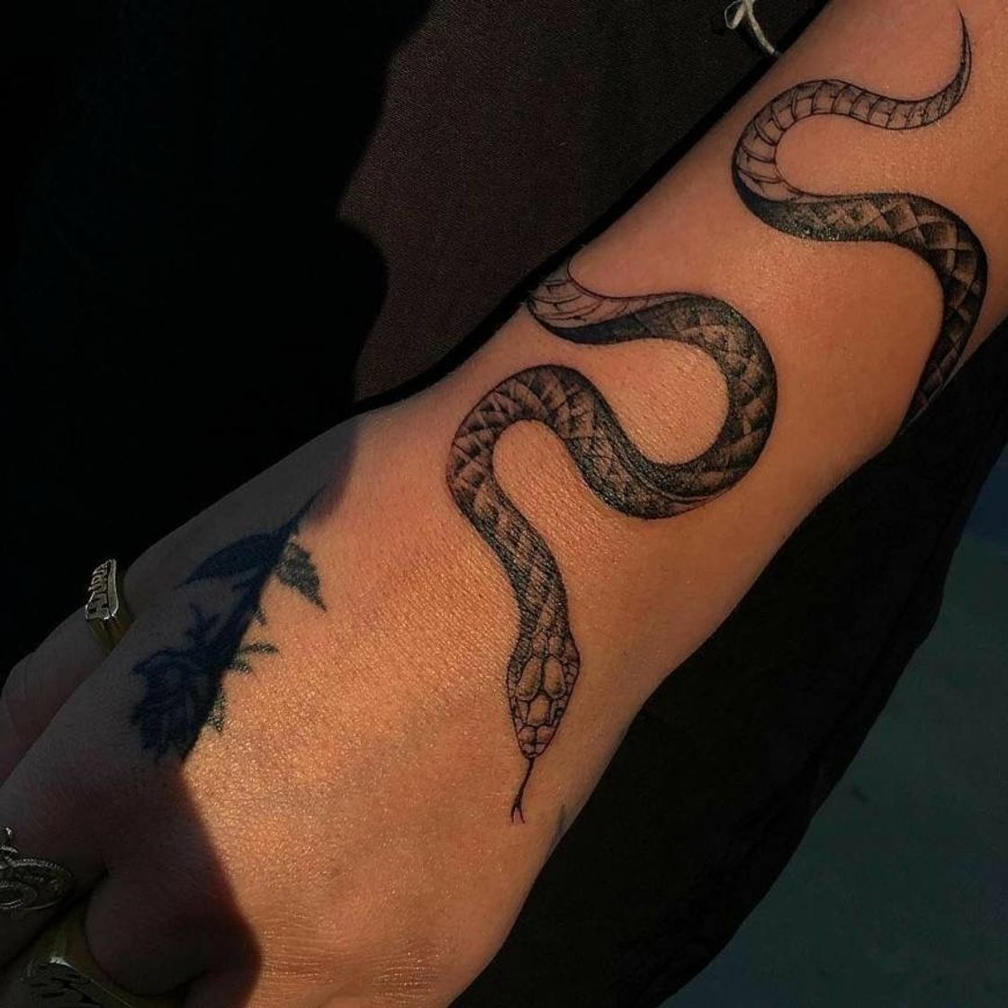 Moda Snake tattoo