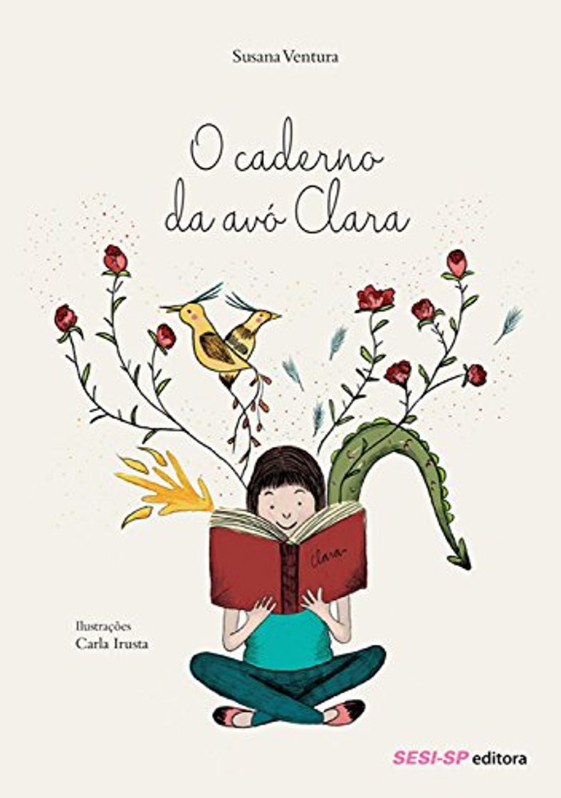 Books O caderno da avó Clara