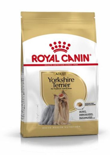 Pienso Royal canin mini Yorkshire