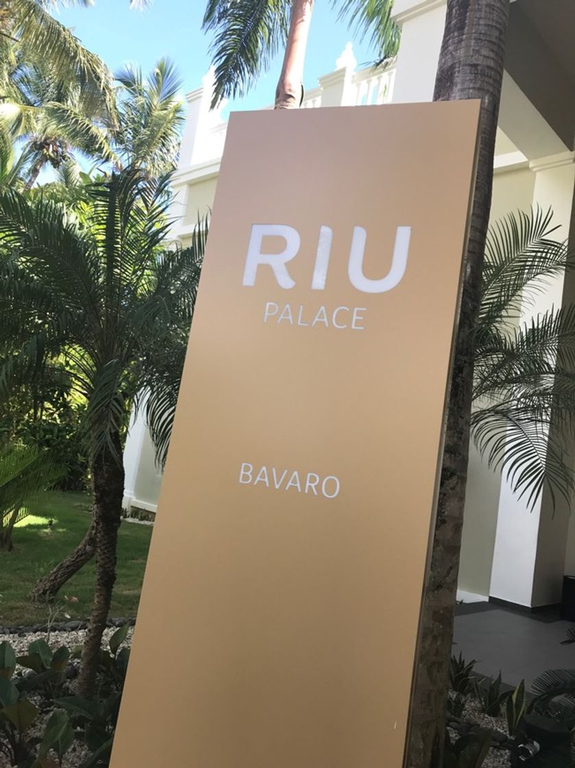 Place Hotel Riu Palace Bavaro