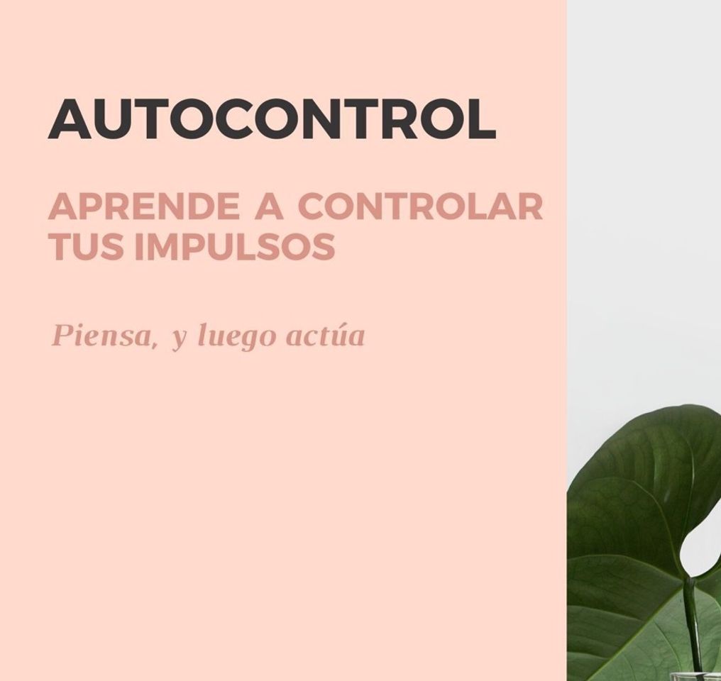 Moda Autocontrol – Allison Torregrosa