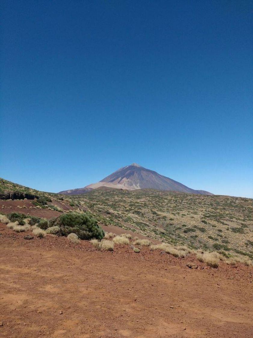 Place Tenerife