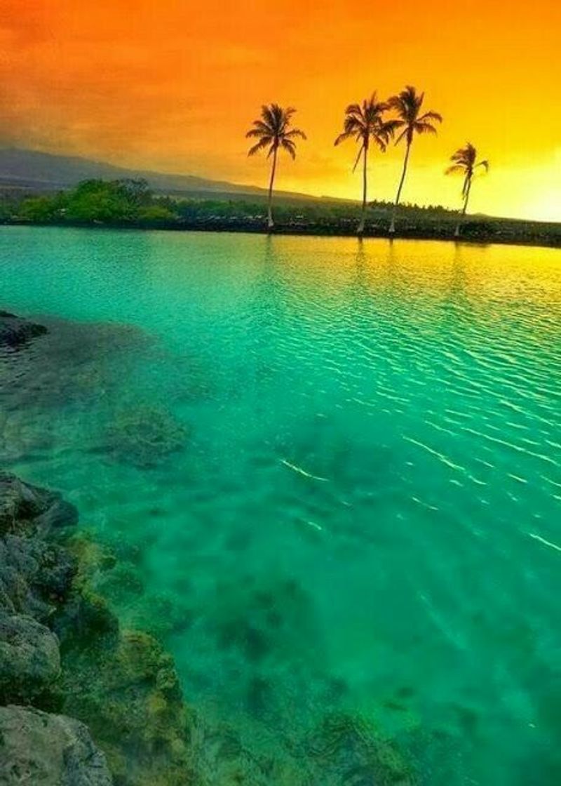 Place Hawaii