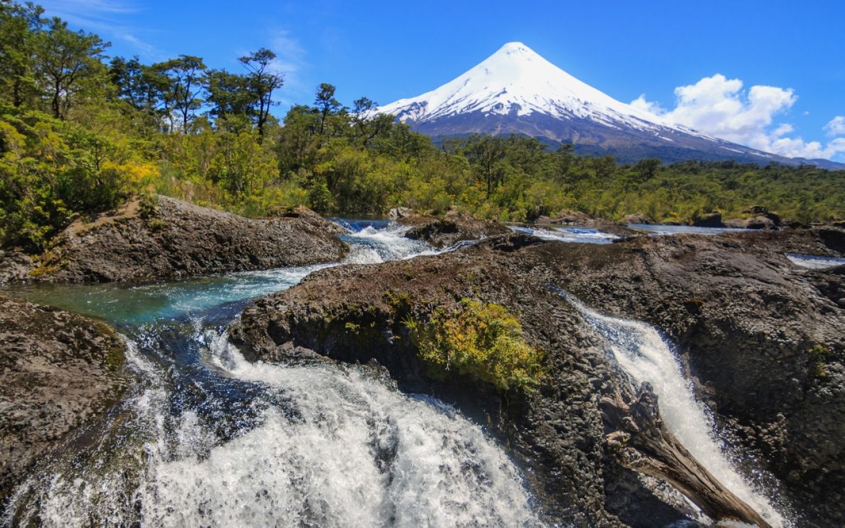 Place Parque Nacional Vicente Pérez Rosales