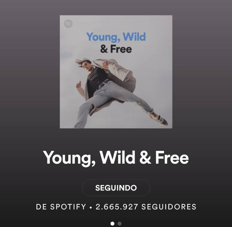 Fashion Spotify