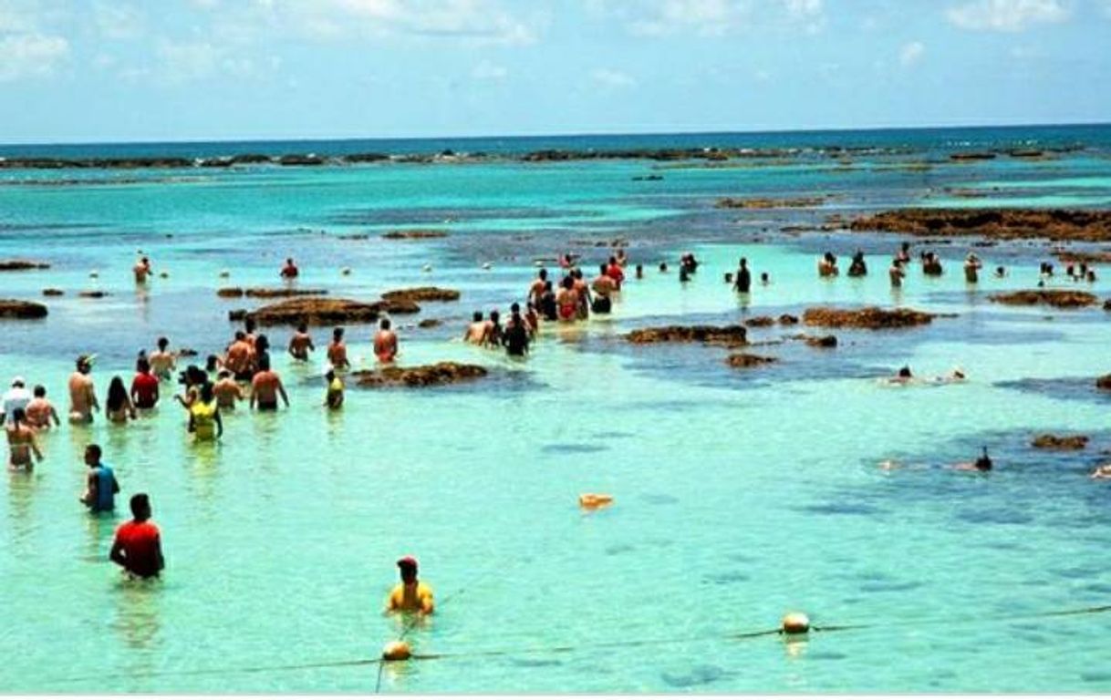 Lugar Praia do Francês