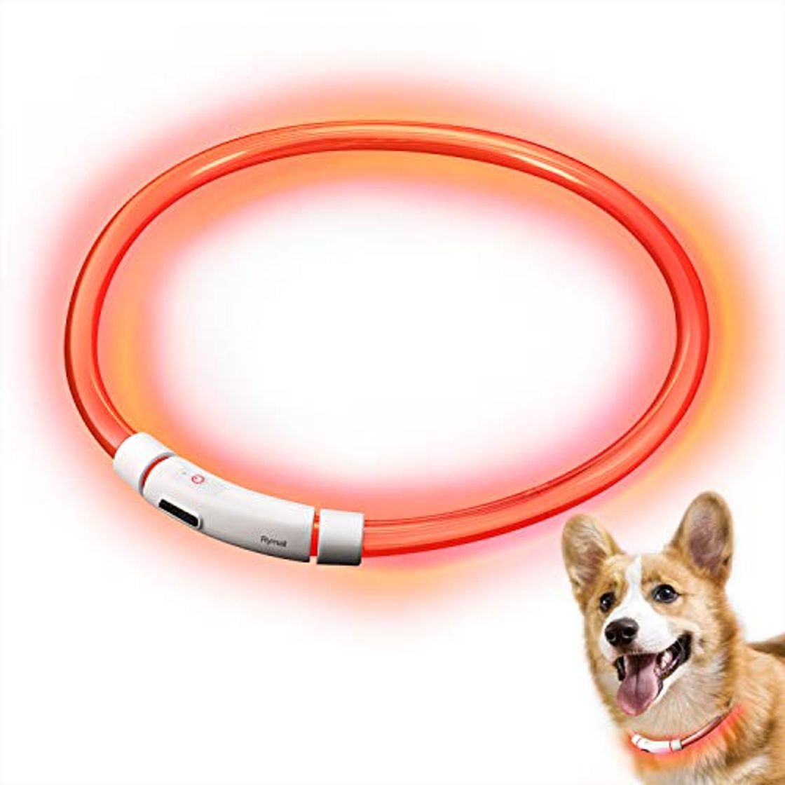 Product Rymall - Collar de perro con luz LED, 60 cm, con cable