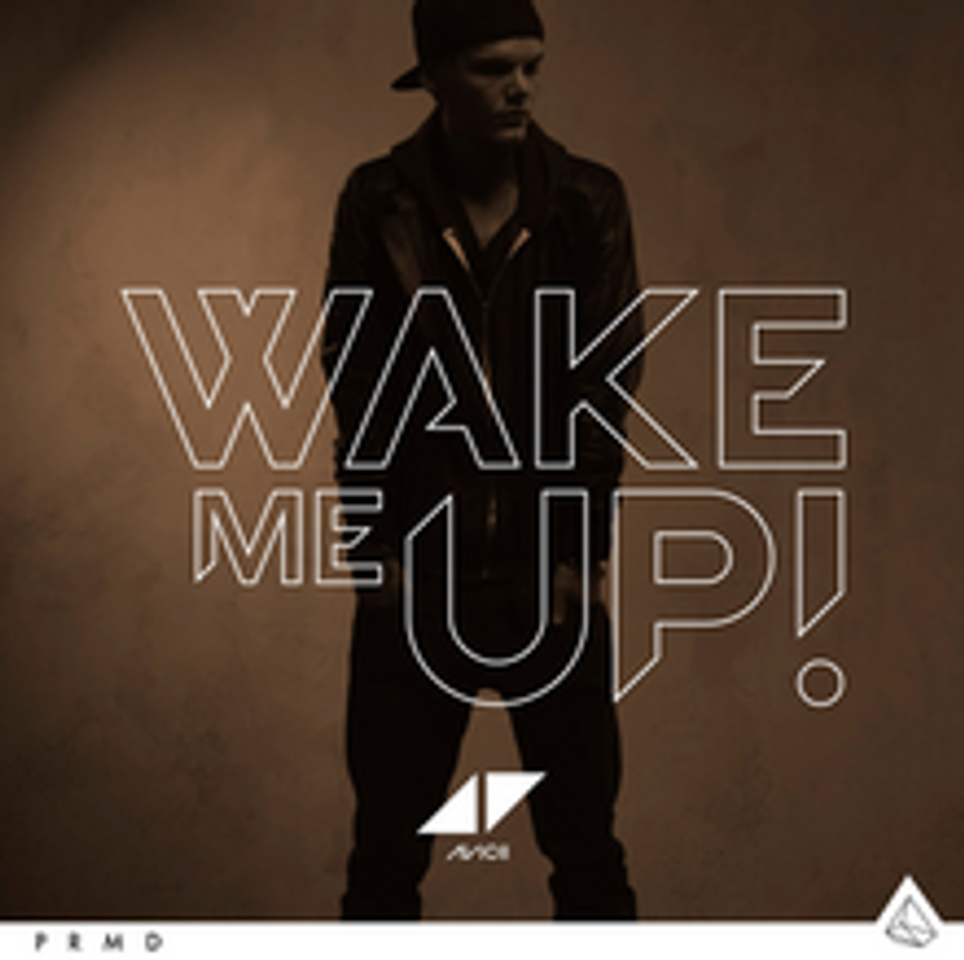 Canción Wake Me Up - Radio Edit