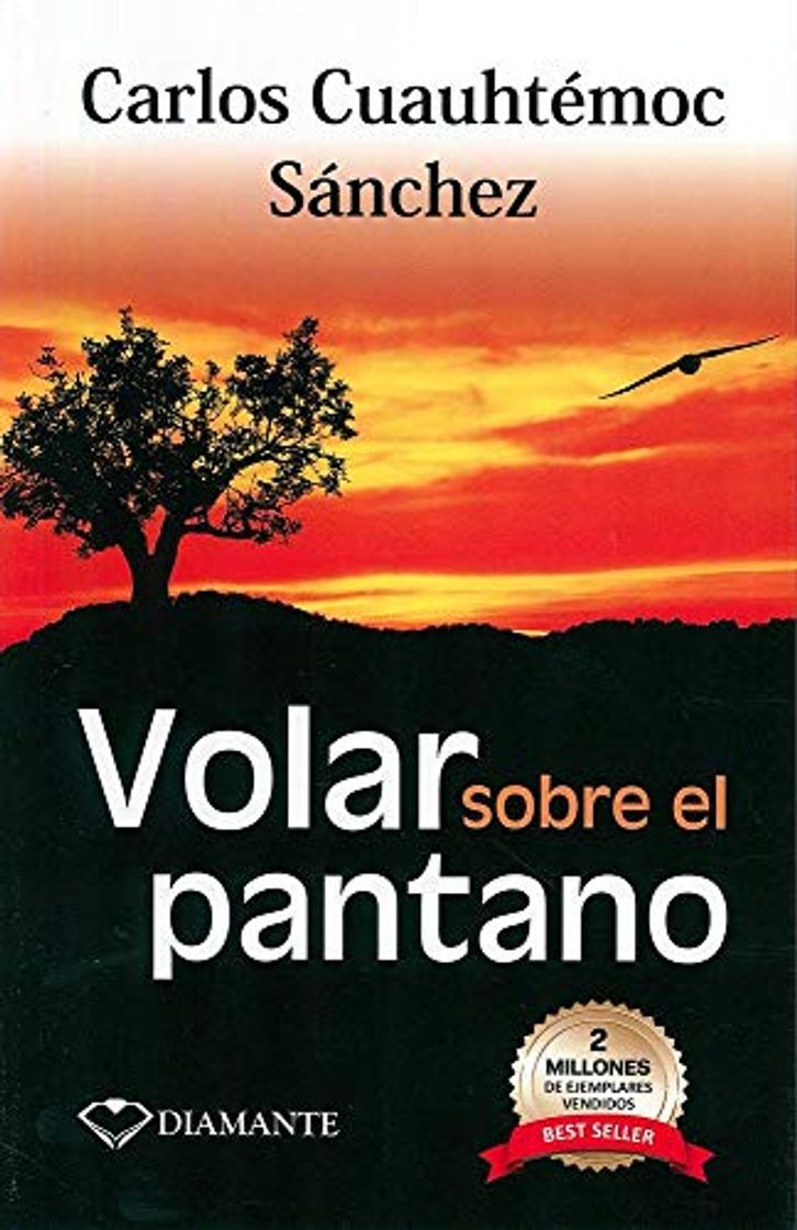 Book Volar sobre el pantano