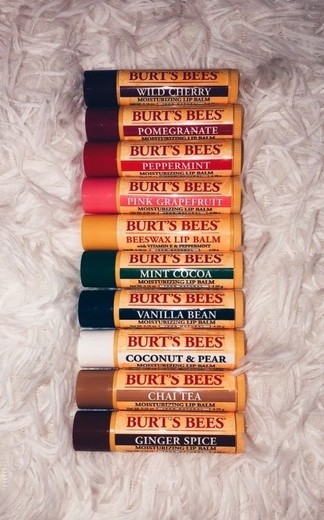 Burt's Bees - Natural Lip Balms for Chapped, Dry Lips - Burt's Bees