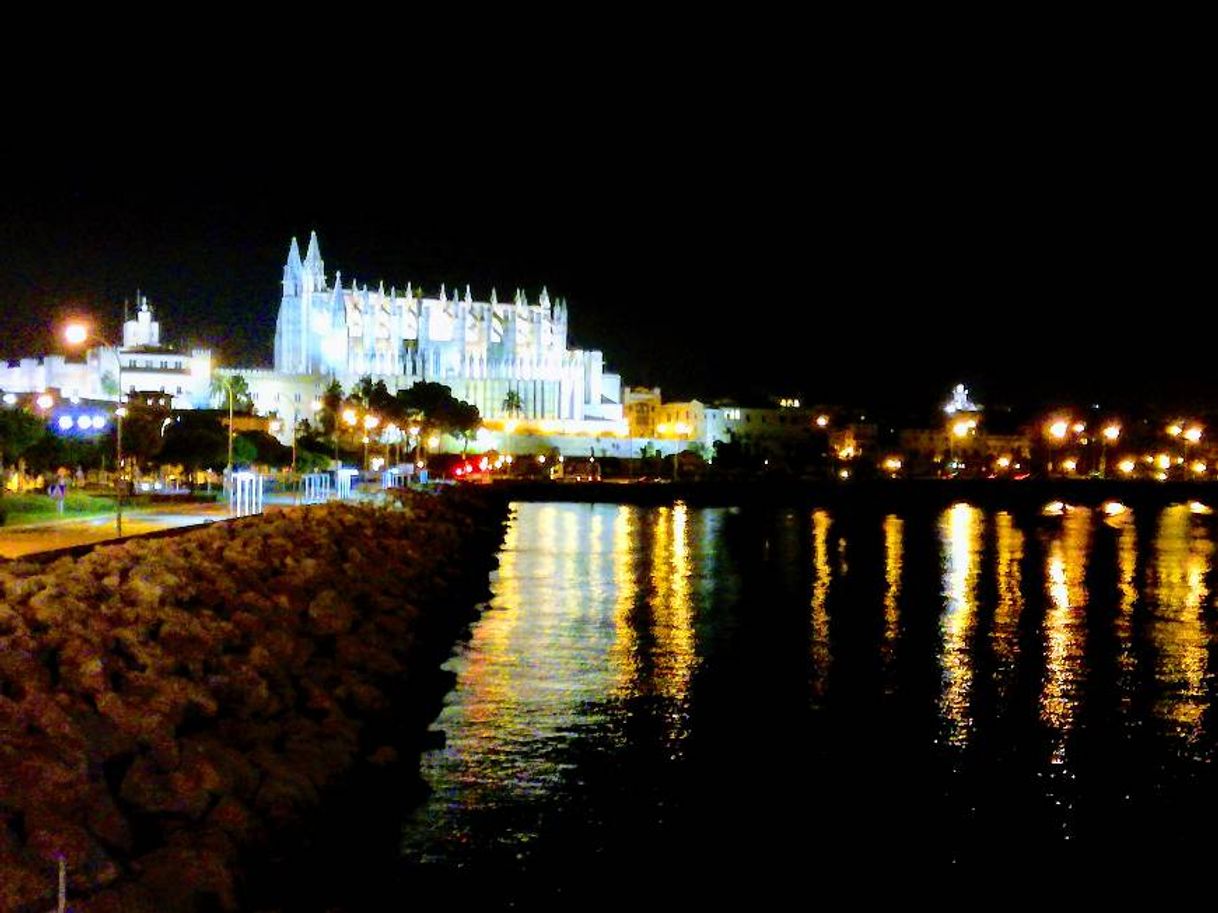 Place Catedral-Basílica de Santa María de Mallorca