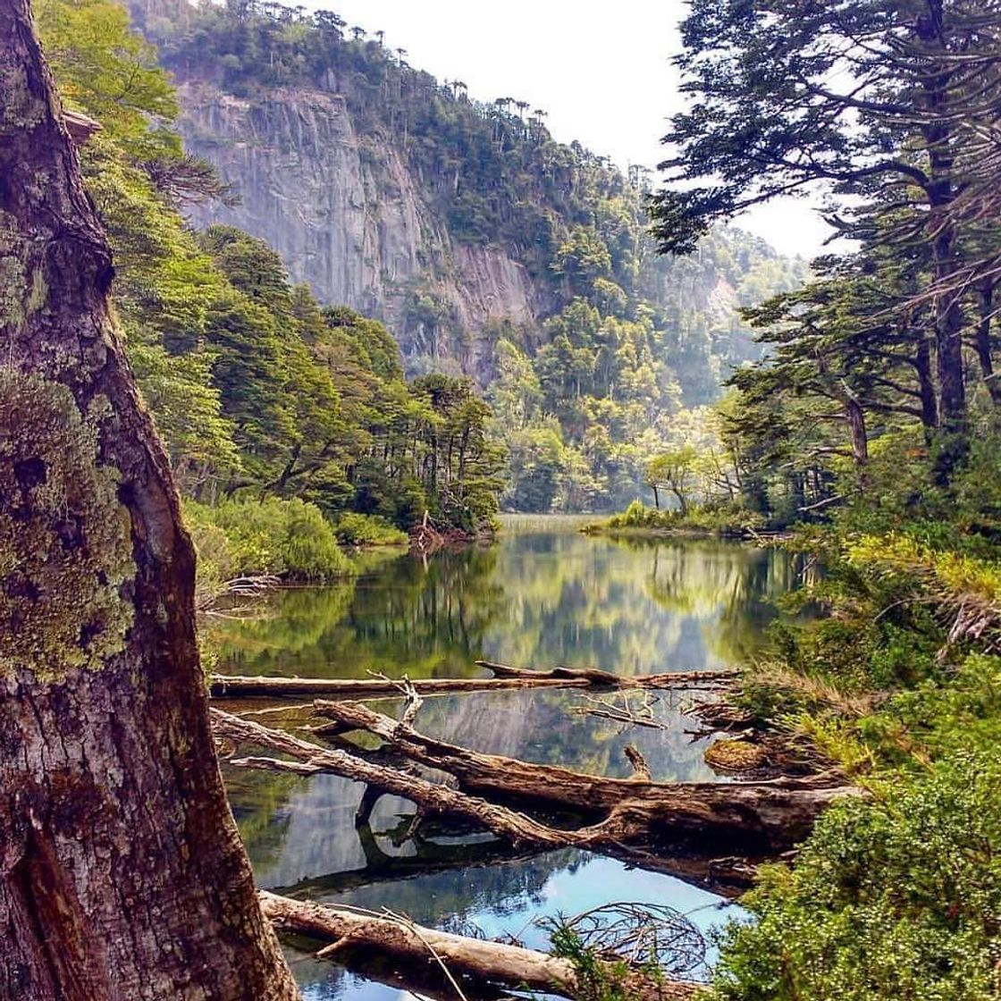 Lugares Parque Nacional Huerquehue