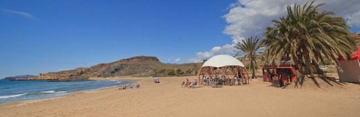 Playa de Percheles