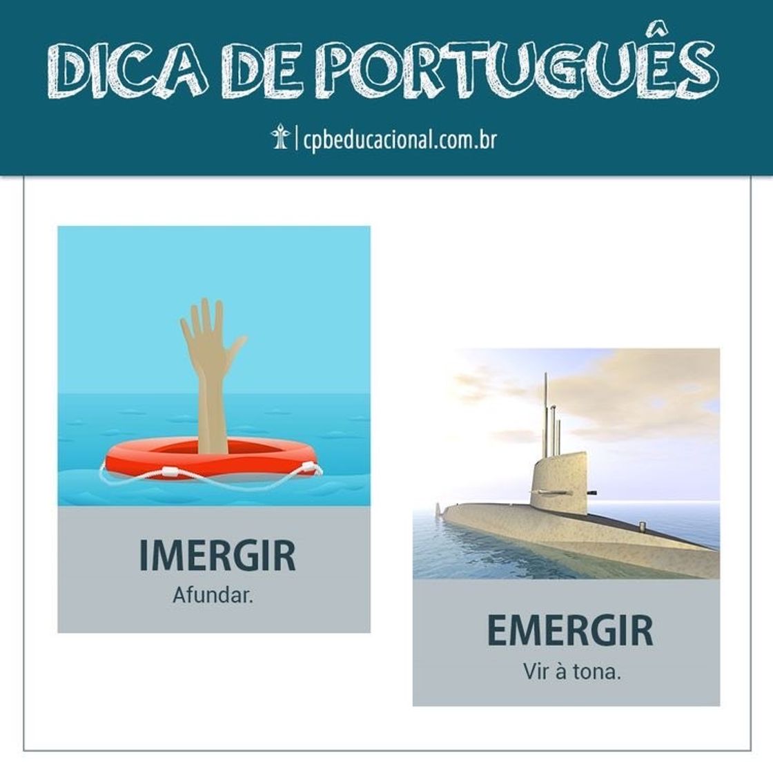 Moda Dicas de português 