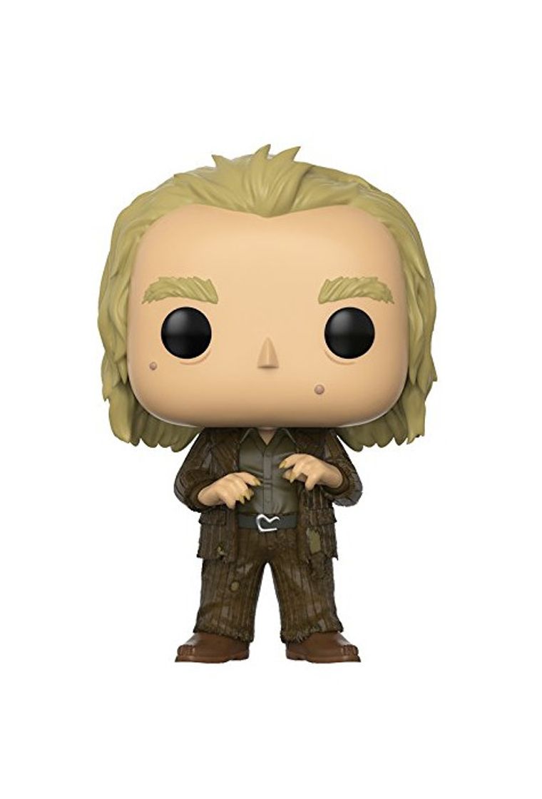 Social Funko Pop! Peter Pettigrew