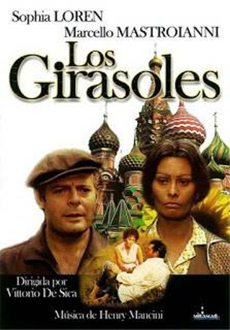 Película Los girasoles