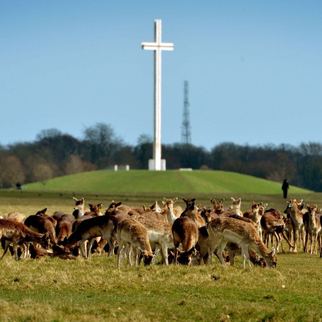 Lugar Phoenix Park