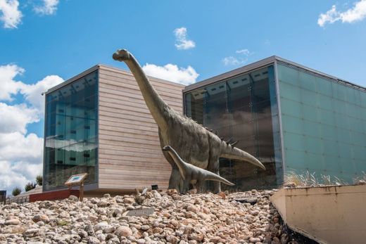 Museo Paleontológico de Castilla-La Mancha.Cuenca