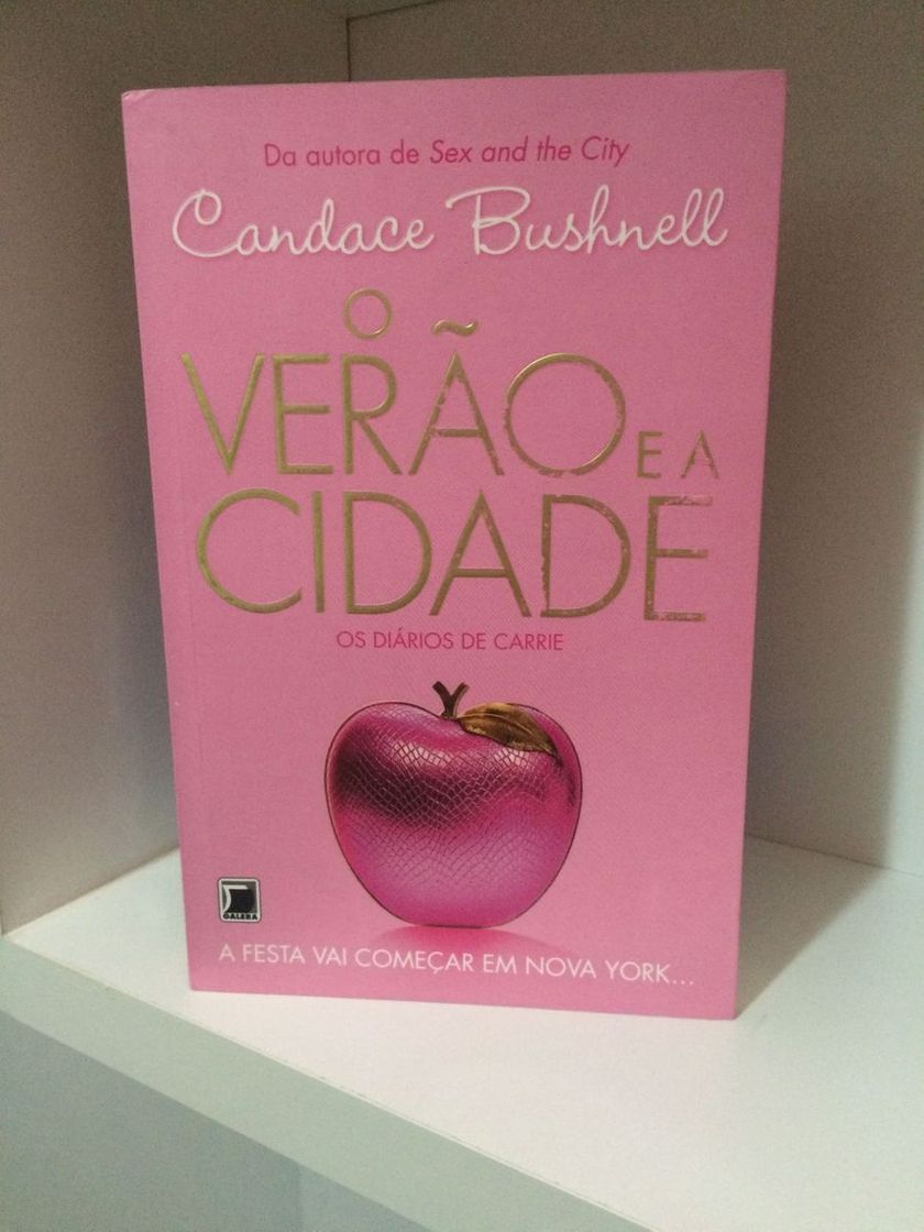 Book O verão e a cidade 