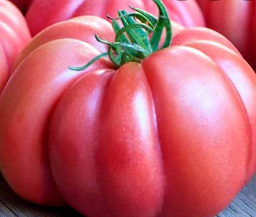 Tomate Monterosa, de temporada, sabor a tomate de verdad. 👌