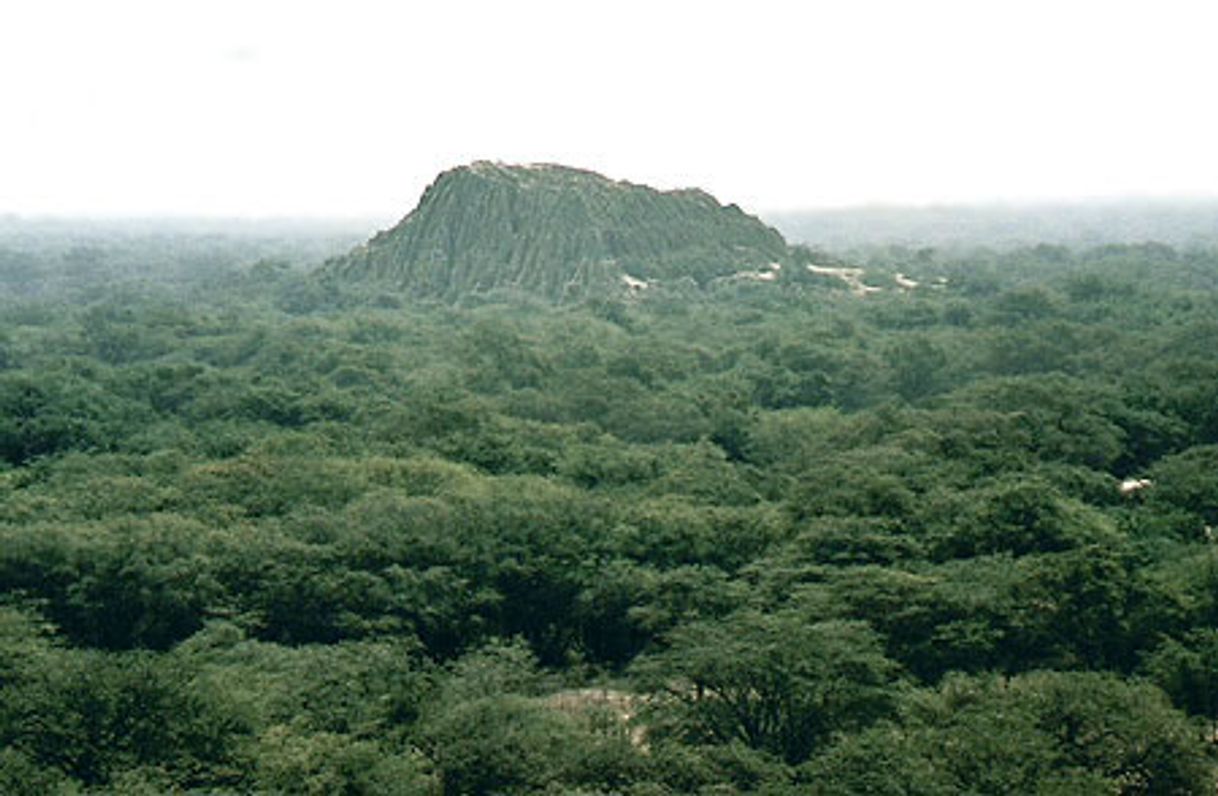 Places Santuario Histórico Bosque de Pómac