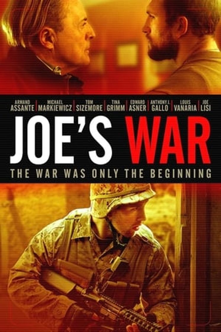 Película Joe's War