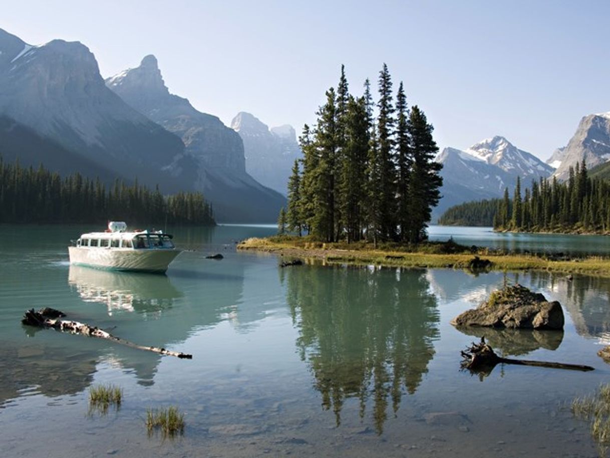 Place Parque Nacional Jasper