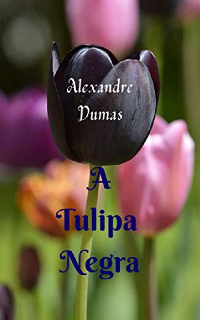 Book A Tulipa Negra: História e aventura cativantes, com grandes intrigantes do início