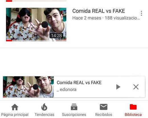 Comida Real VS Fake by: _edonora