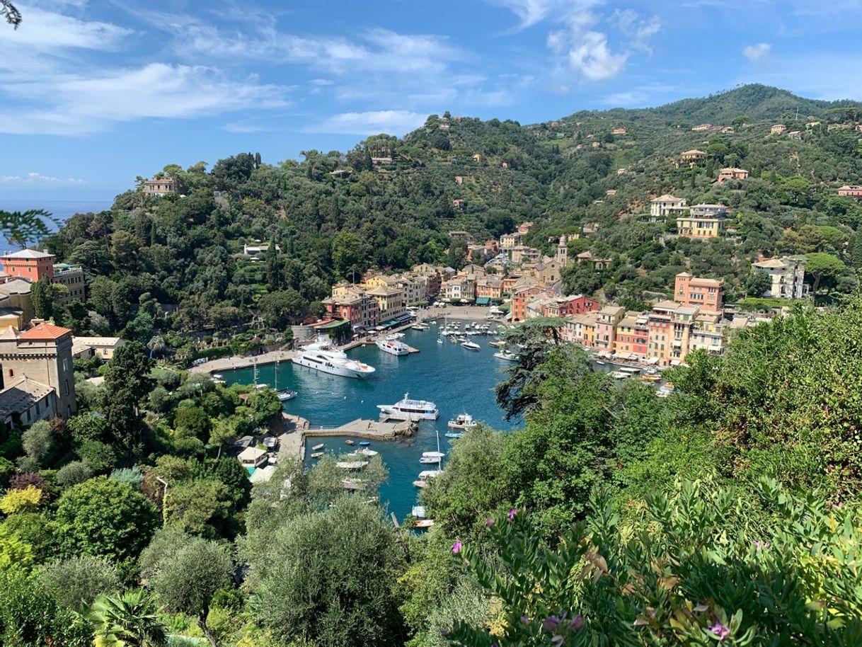 Place Portofino