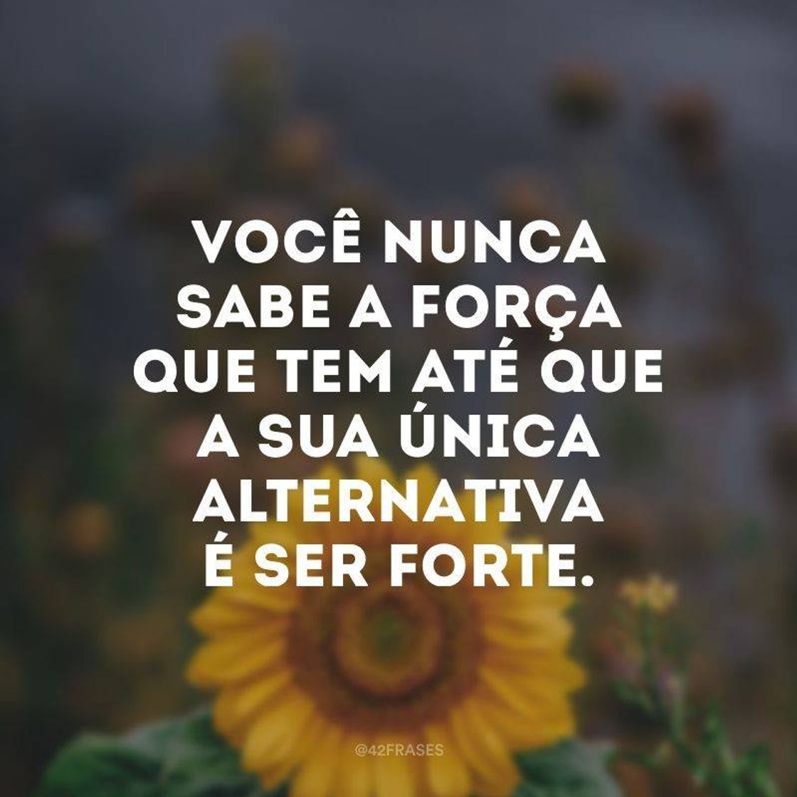 Fashion Frases de motivação 