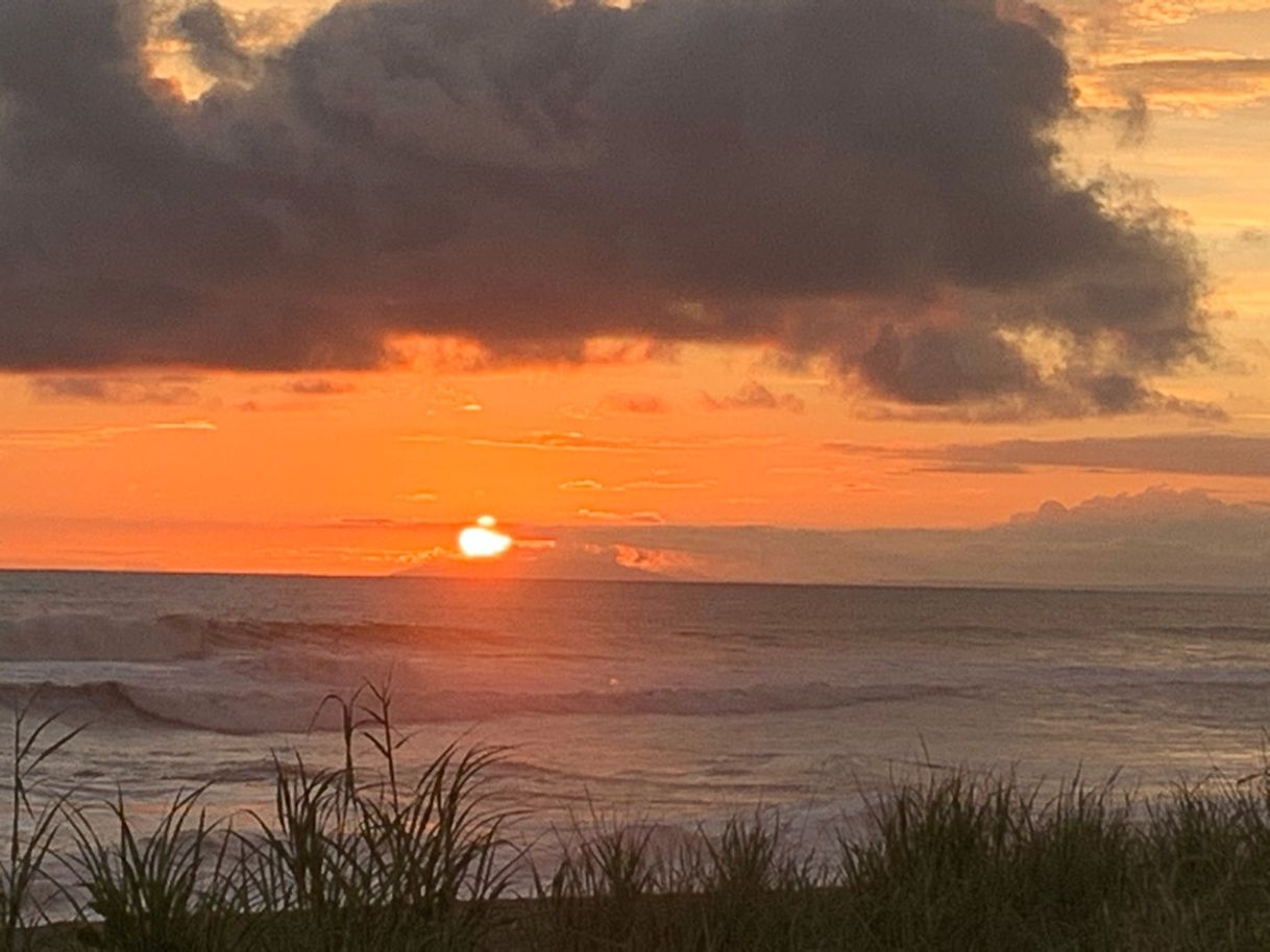 Social Images of Jaco Beach Costa Rica