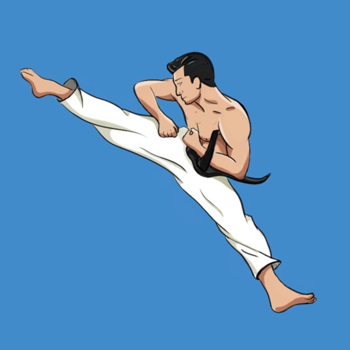 Aplicaciones Mastering Taekwondo Training