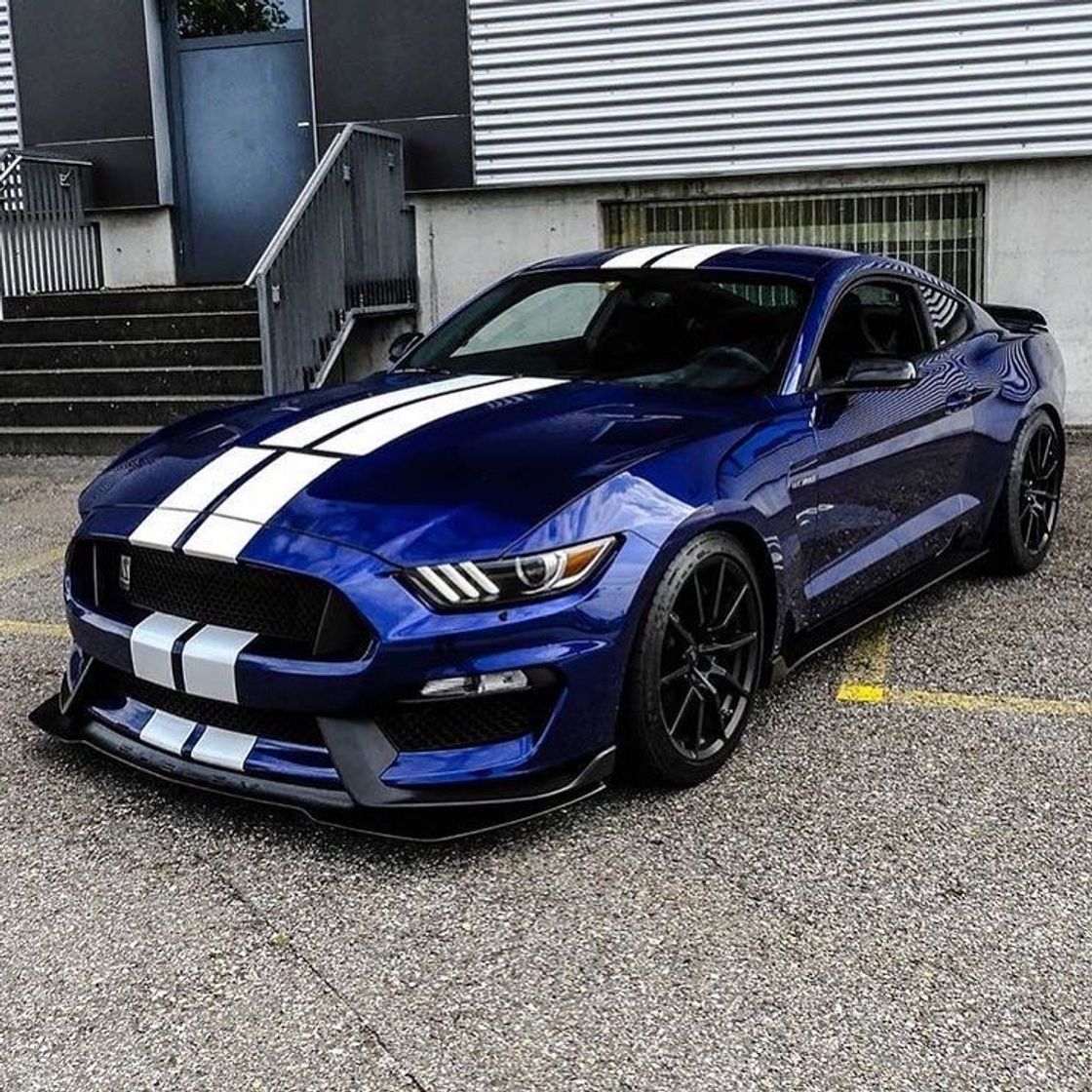 Moda Mustang gt