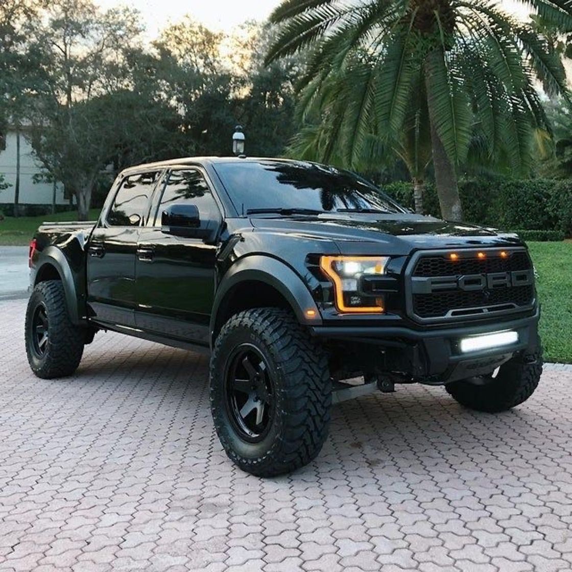 Fashion Ford raptor