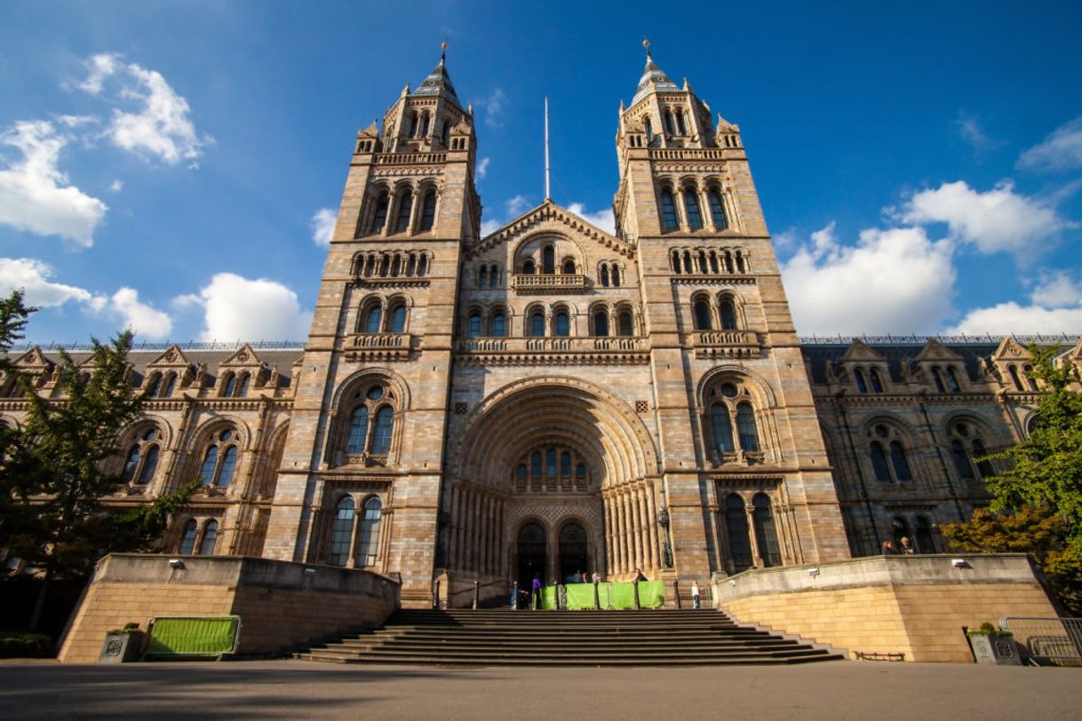 Place Natural History Museum