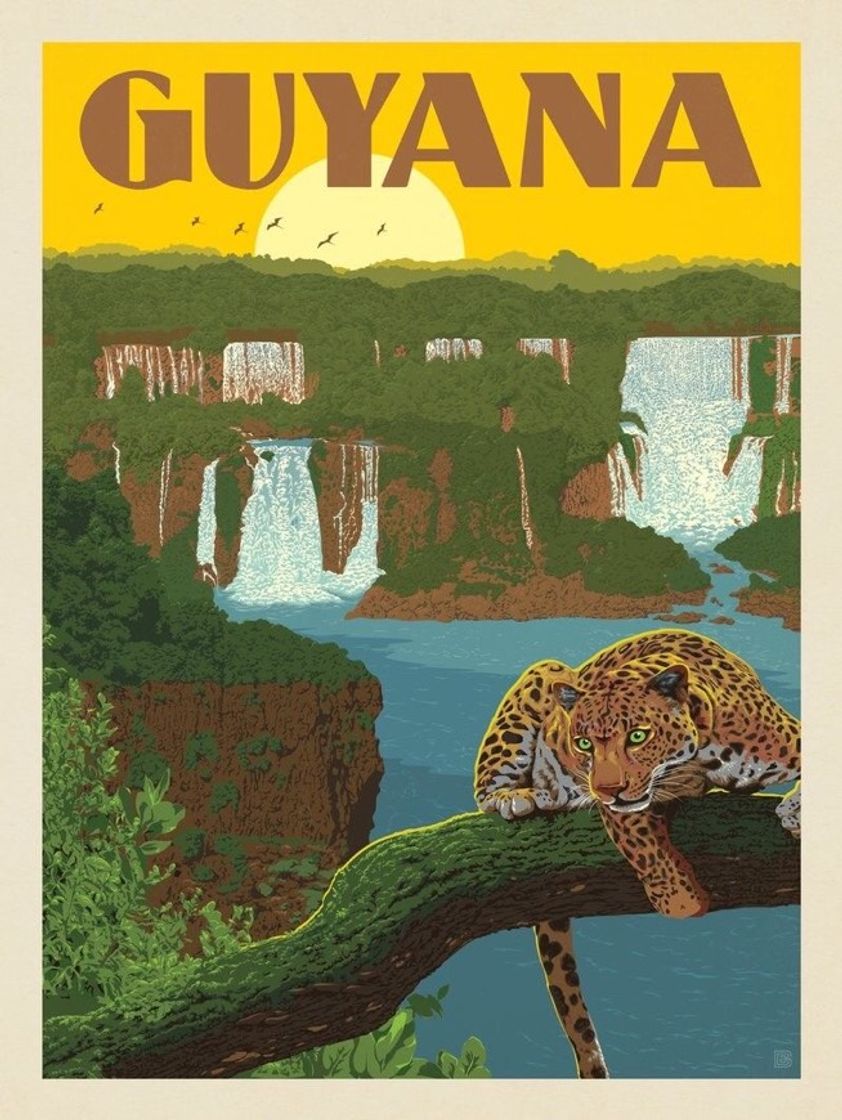 Guyana 🇬🇾 