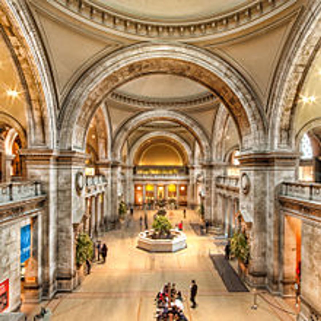 Place The Metropolitan Museum of Art