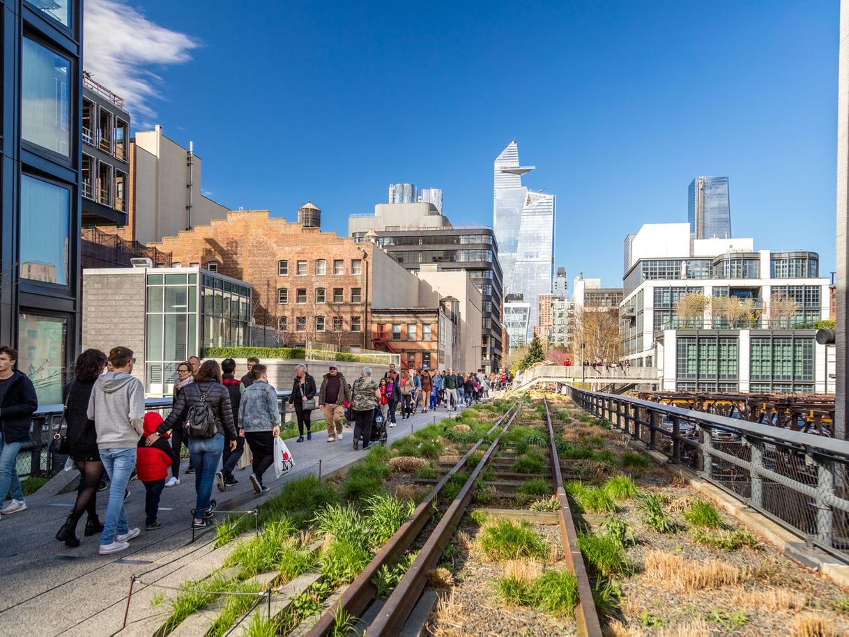 Place The High Line